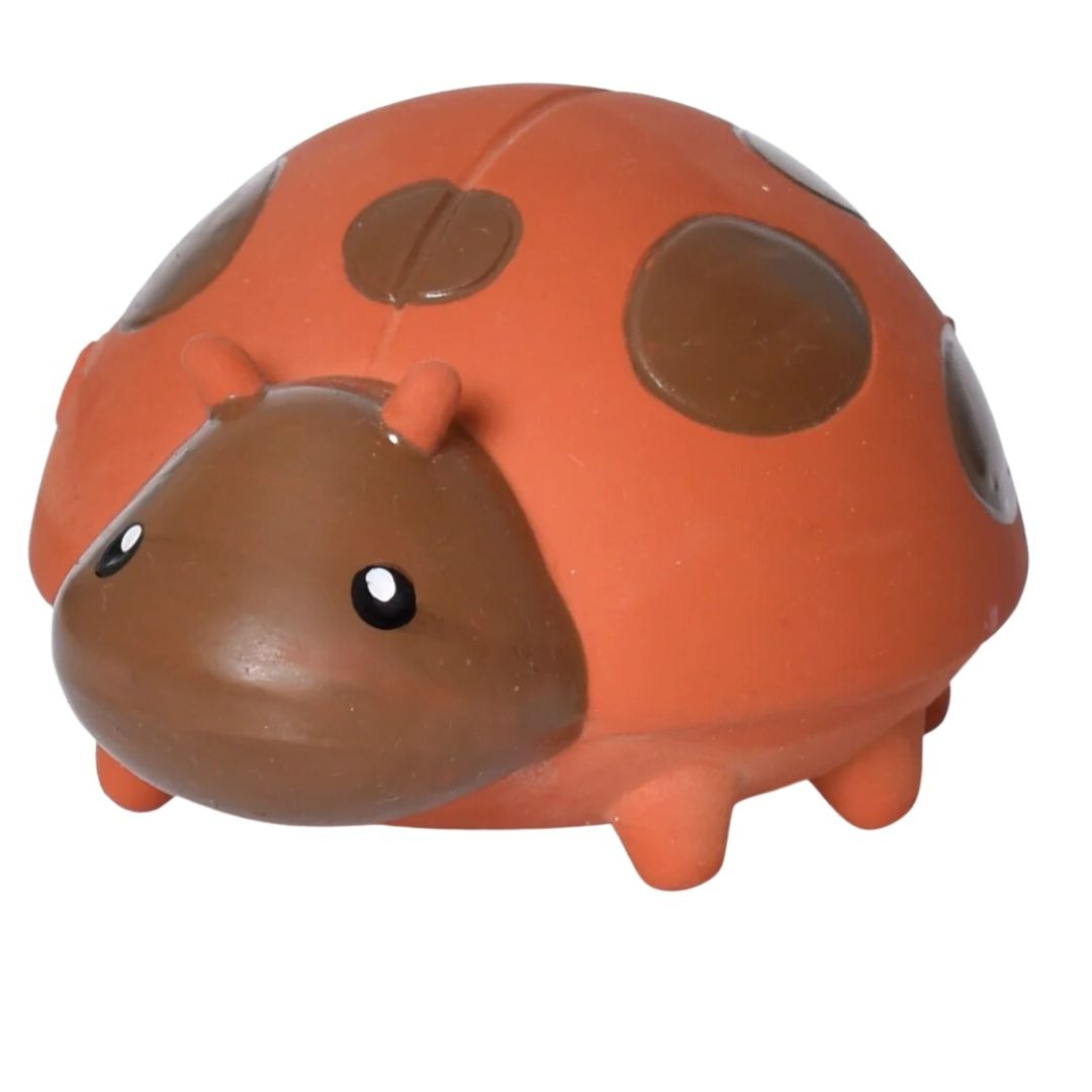 Lady Bug Bath Toy and Teether
