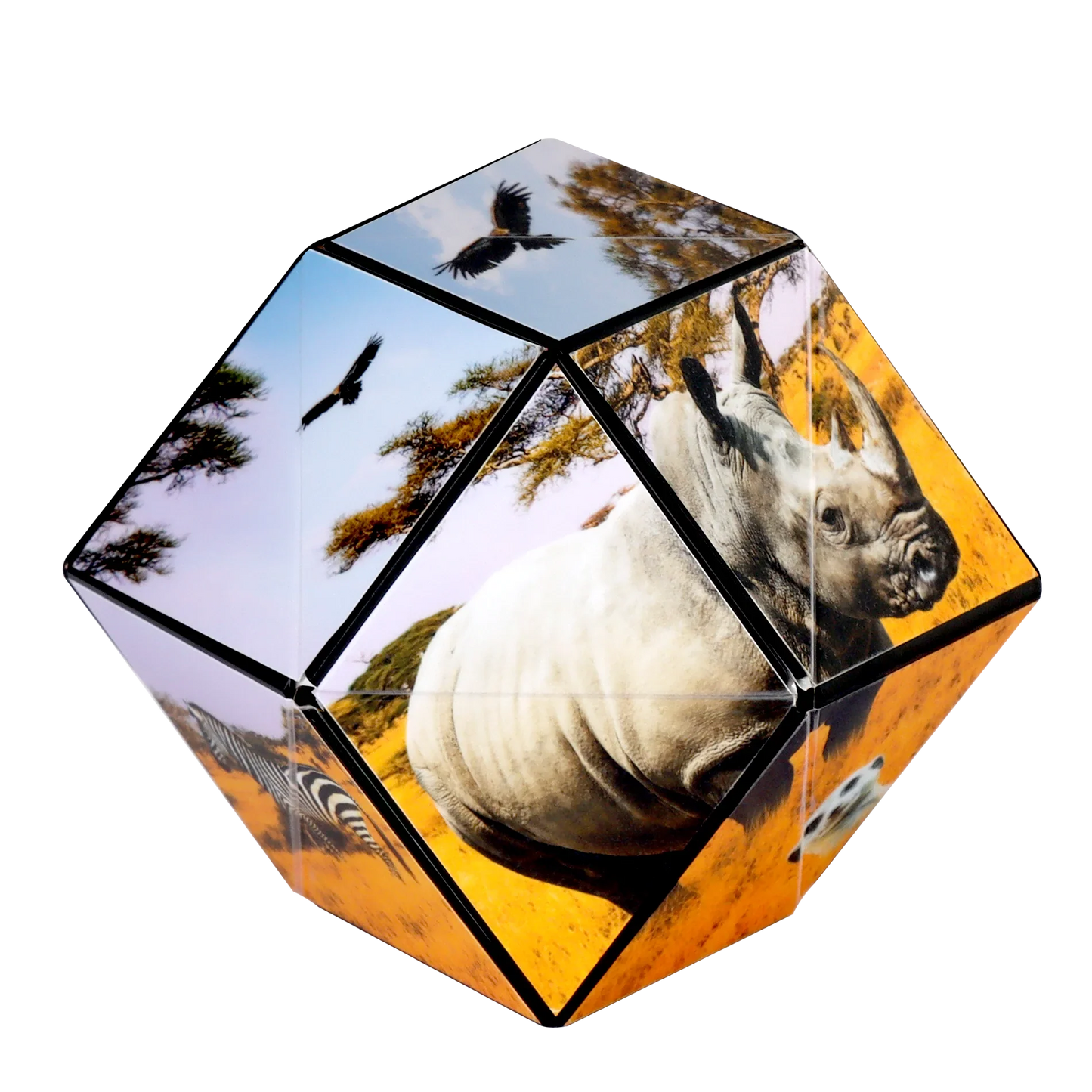 Shashibo Cube