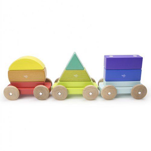 Magnetic Shape Train