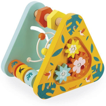 Janod Activity Triangle