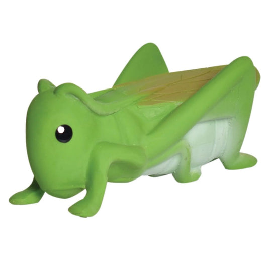 Grasshopper Bath Toy and Teether